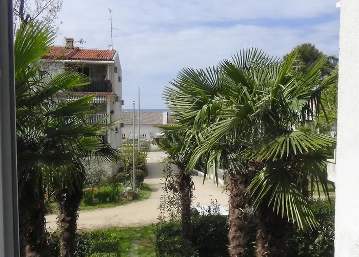 Maja - 170m Od Plaze Apartamento