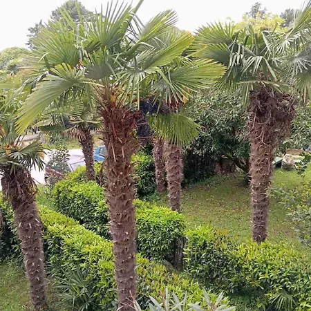 Maja Apartment Porec