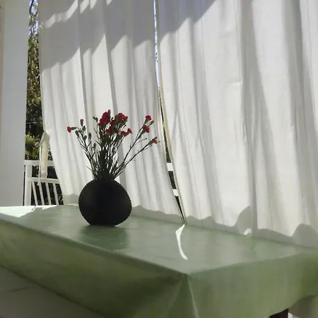 Apartment Maja Porec