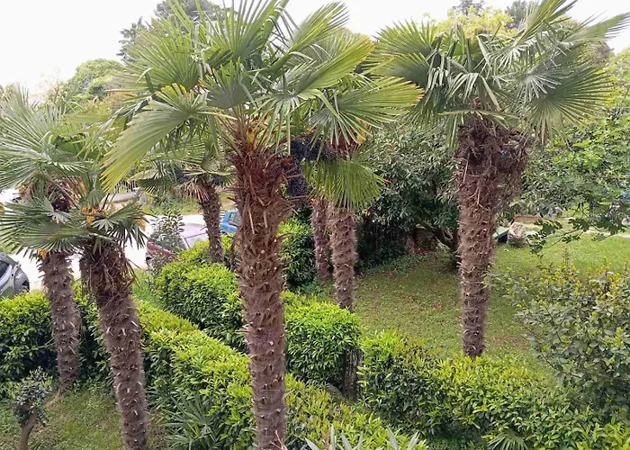 Maja - 170m Od Plaze Apartman Porec